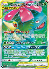 フシギバナ&ツタージャGX[SR][SM11a/065/064]