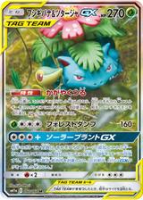 フシギバナ&ツタージャGX[SR/SA][SM11a/066/064]