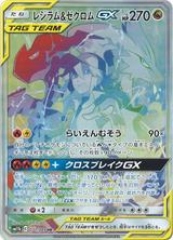 レシラム&ゼクロムGX[HR][SM11b/071/049]