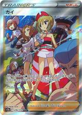 カイ[SAR][S12a/236/172]