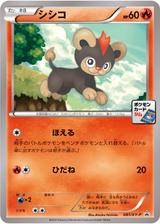 シシコ[081/XY-P]