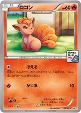 ロコン[110/XY-P]