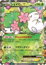 シェイミEX[212/XY-P]