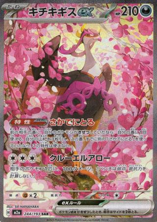 キチキギスex[SAR][M2a/244/193]