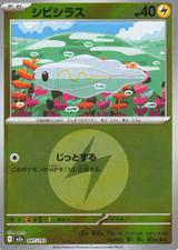 シビシラス[エネルギーミラー][M2a/047/193]