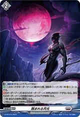 蝕まれる月光[PR][D-PR/515]