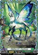 フルナレッジ･フォクシル[FR][DZ-BT04/FR36]