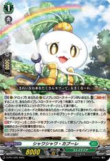 シャワシャワ･カブーレ[PR][D-PR/1225]